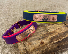 Load image into Gallery viewer, Mud-proof dog collar with name plate and rose gold buckle, 2-colored