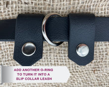 Load image into Gallery viewer, Mud-proof hands-free dog leash 20mm - choose your color & length 2