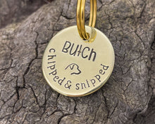 Load image into Gallery viewer, Microchipped dog tag, hand stamped with 'chipped & snipped'