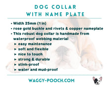 Load image into Gallery viewer, Mud-proof dog collar with name plate and rose gold buckle, 2-colored
