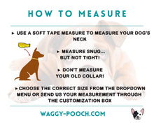 Load image into Gallery viewer, Mud-proof dog collar, 2 colors and brass buckle, 16mm wide