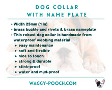 Load image into Gallery viewer, Personalized waterproof dog collar with name plate and brass buckle, 2-colored