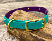 Load image into Gallery viewer, Personalized waterproof dog collar with name plate and brass buckle, 2-colored