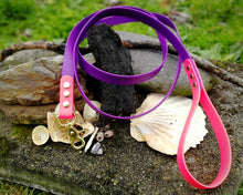 Load image into Gallery viewer, Deluxe 2-color mud-proof dog leash with brass fittings - choose your color & length