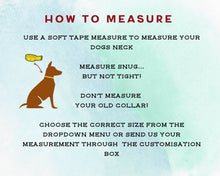 Load image into Gallery viewer, Mud-proof dog collar and leash set, 20mm (3/4in) - medium & large dogs