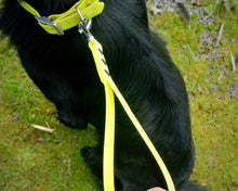 Load image into Gallery viewer, Dog traffic leash, mud proof leash handle 13mm / 1/2 in