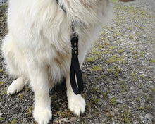 Load image into Gallery viewer, Dog traffic leash, mud-proof leash handle 25mm / 1in