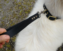 Load image into Gallery viewer, Dog traffic leash, mud-proof leash handle 25mm / 1in