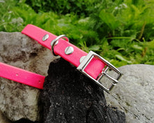 Load image into Gallery viewer, Mud-proof puppy dog collar, choose your color