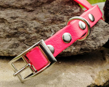 Load image into Gallery viewer, Mud-proof puppy dog collar, choose your color