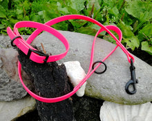 Load image into Gallery viewer, Mud-Proof Dog Collar And Leash Set For Small Dogs And Puppies - Choose your color and length