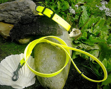 Load image into Gallery viewer, Mud-proof dog collar and leash set, 20mm (3/4in) - medium & large dogs