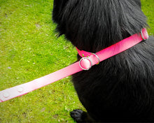 Load image into Gallery viewer, Mud-proof training dog leash, slip leash