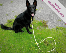 Load image into Gallery viewer, Mud-proof training dog leash, dog-friendly slip leash