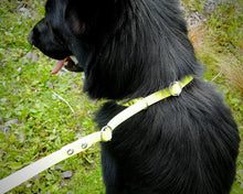 Load image into Gallery viewer, Mud-proof training dog leash, dog-friendly slip leash