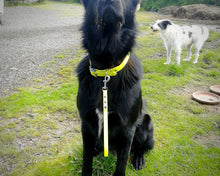 Load image into Gallery viewer, Dog traffic leash, mud proof leash handle 13mm / 1/2 in