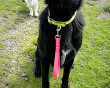 Load image into Gallery viewer, Dog traffic leash, mud-proof leash handle 20mm / 3/4in