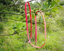 Load image into Gallery viewer, Hands-Free Dog Leash, lightweight convertable multi-use lead