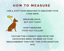 Load image into Gallery viewer, Deluxe mud-proof dog collar and leash set with brass fittings - choose your size & color