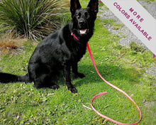 Load image into Gallery viewer, Mud-proof training dog leash, slip leash