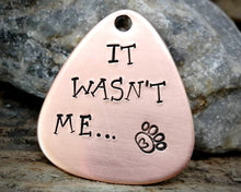 Load image into Gallery viewer, Guitar pick pet tag, hand stamped with 'It wasn't me'