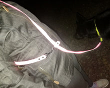 Load image into Gallery viewer, Hands-free reflective dog leash, safety dog lead multi-use
