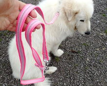 Load image into Gallery viewer, Hands-free reflective dog leash, safety dog lead multi-use