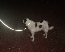 Load image into Gallery viewer, Reflective Dog Collar And Leash Set - choose your color & length
