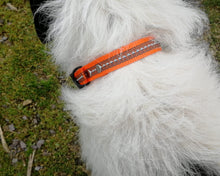 Load image into Gallery viewer, Reflective Dog Collar And Leash Set - choose your color & length