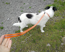Load image into Gallery viewer, Reflective Dog Collar And Leash Set - choose your color & length