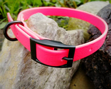 Load image into Gallery viewer, Mud-proof small dog collar, adjustable buckle collar with black fittings