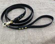Load image into Gallery viewer, Deluxe mud-proof dog leash with brass fittings