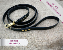 Load image into Gallery viewer, Deluxe mud-proof dog leash with brass fittings