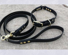 Load image into Gallery viewer, Deluxe mud-proof dog collar and leash set with brass fittings - choose your size & color