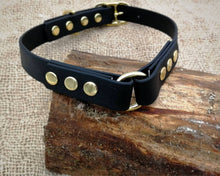 Load image into Gallery viewer, Deluxe mud-proof dog collar and leash set with brass fittings - choose your size & color
