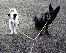 Load image into Gallery viewer, Mud-proof leash coupler, double dog walker, 2 colors