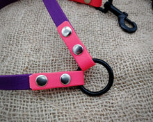 Load image into Gallery viewer, Mud-proof leash coupler, double dog walker, 2 colors
