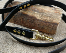 Load image into Gallery viewer, Deluxe mud-proof dog leash with brass fittings