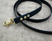 Load image into Gallery viewer, Deluxe mud-proof dog leash with brass fittings