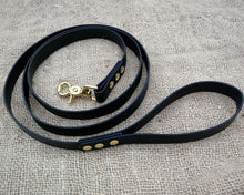 Load image into Gallery viewer, Deluxe mud-proof dog leash with brass fittings