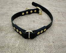 Load image into Gallery viewer, Mudproof Deluxe dog collar with brass buckle - rust-proof & easy care