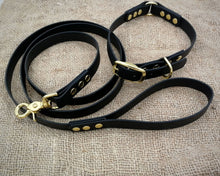 Load image into Gallery viewer, Deluxe mud-proof dog collar and leash set with brass fittings - choose your size & color