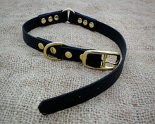 Load image into Gallery viewer, Deluxe mud-proof dog collar and leash set with brass fittings - choose your size & color