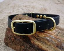 Load image into Gallery viewer, Deluxe mud-proof dog collar and leash set with brass fittings - choose your size & color