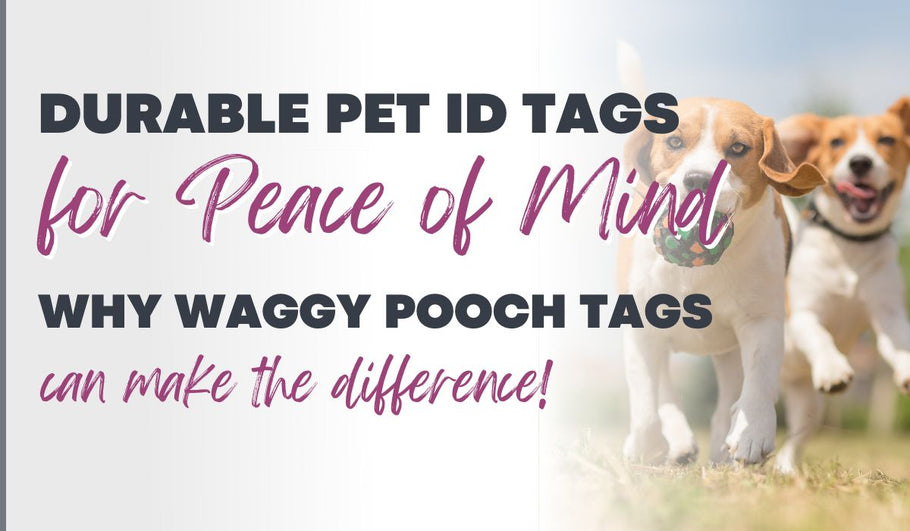 Durable Pet ID Tags for Peace of Mind