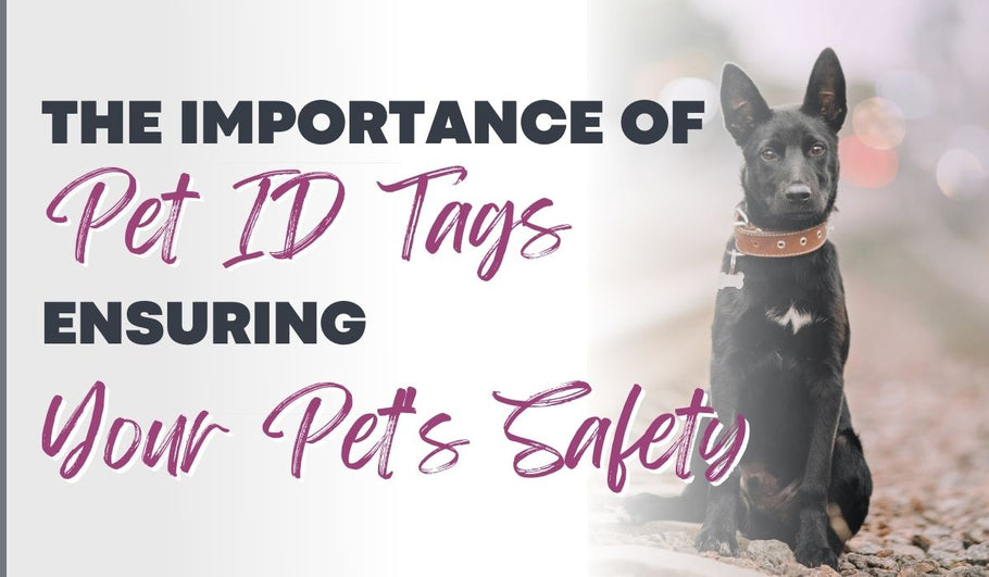 The Importance of Pet ID Tags: Ensuring Your Pet's Safety
