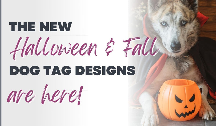 New Fall And Halloween Dog Tags Are Out!