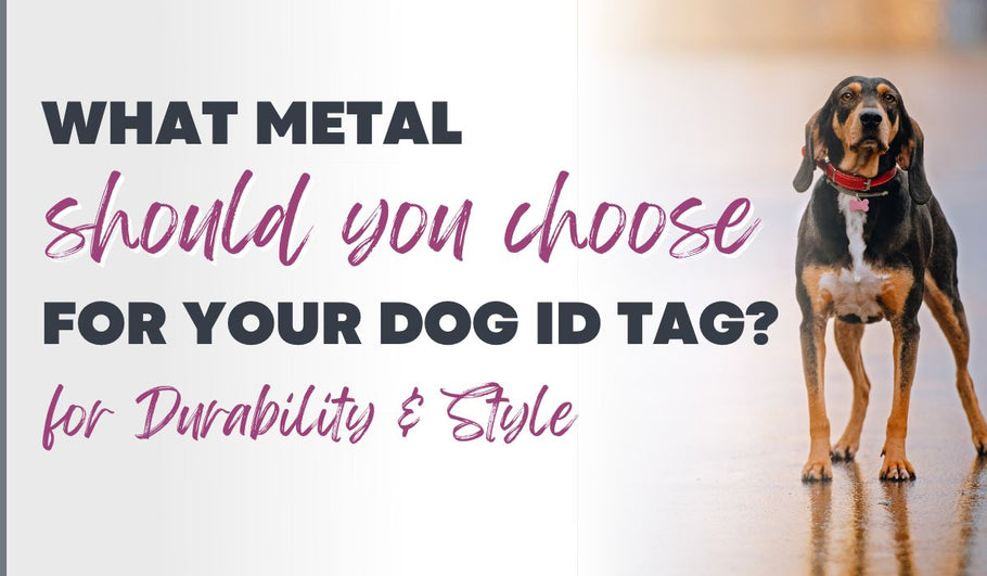 What Metal Should You Choose for Your Dog ID Tag?