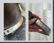 Load image into Gallery viewer, nameplate for pet collar silver
