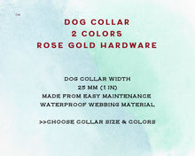 Load image into Gallery viewer, Mudproof dog collar 2 colors with rose gold buckle, 25mm / 1 in
